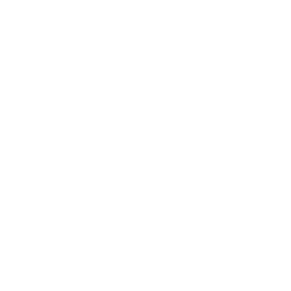 Boots Logo