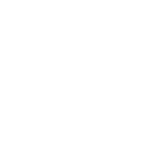 Kelloggs Logo